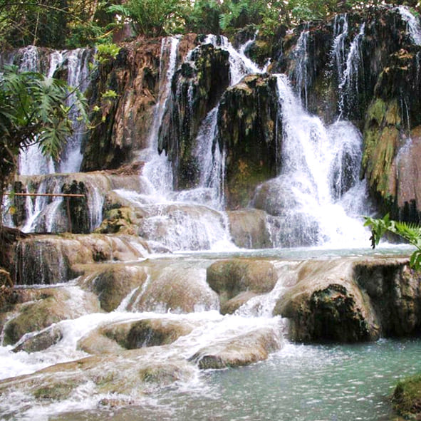 Escalar en roca en Agua Selva – TABASCO, AVENTURA Y ECOTURISMO